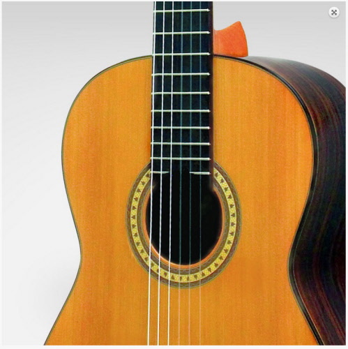 absorptie bundel belangrijk Klassieke Spaanse gitaar -massief ceder-handgemaakt | ESTEVE - 6 PS