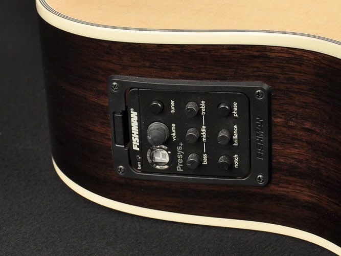 Nog steeds vuilnis hurken Richwood Master Series akoestische gitaar met electronica | RWD-D60CE |  35435