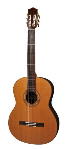 Maak een naam verslag doen van domineren Klassieke gitaar massief Ceder - Palissander | SC-0050 | 29790